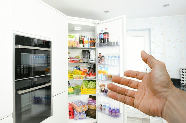 냉장고와 채소