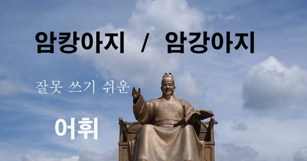 암캉아지-암강아지