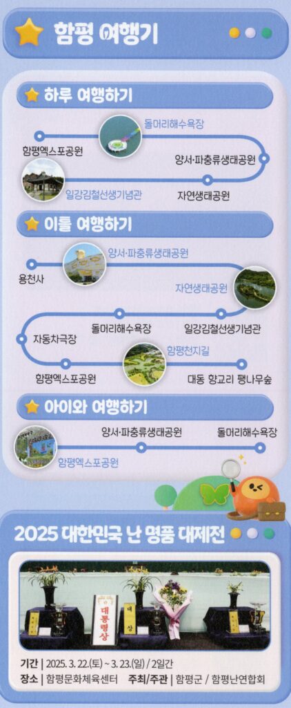 2025년 함평나비축제와 자동차극장 5 2025년 함평나비축제와 자동차극장 4