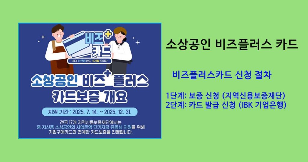 소상공인 비즈플러스카드