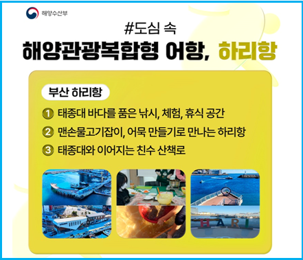 해양수산부 추천 2026 바다 힐링지 3곳 5 해양수산부 추천 2026 바다 힐링지 3곳 4
