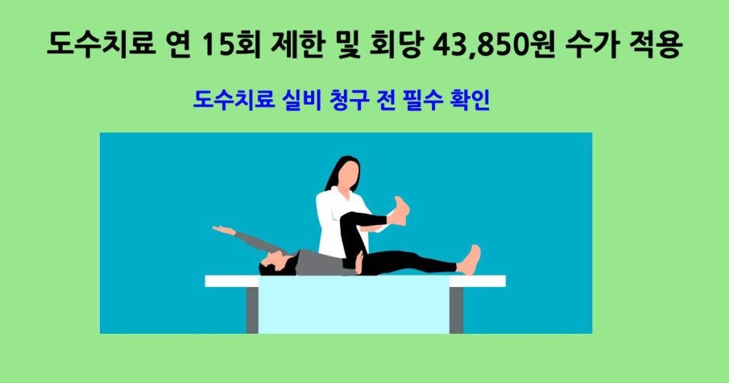 도수치료 실비 청구