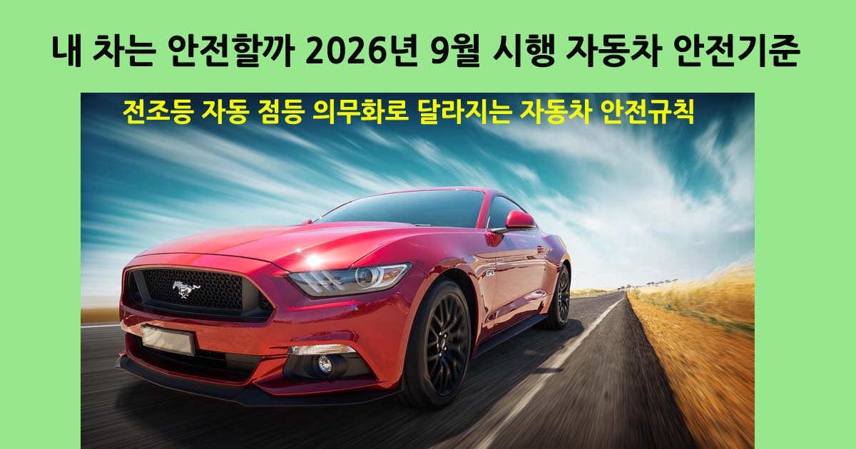 전조등자동점등의무화