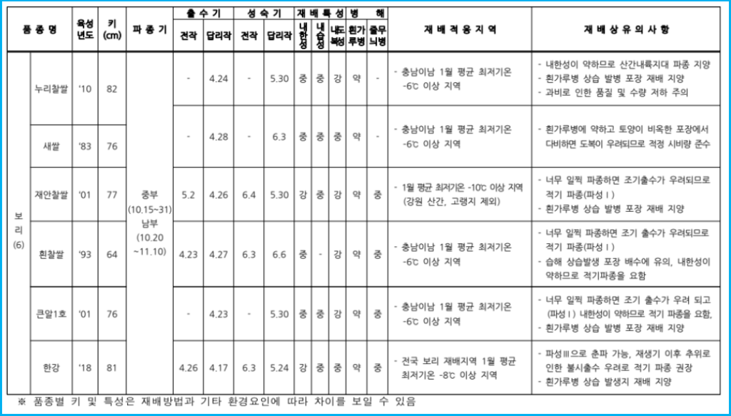 2026년 보리 보급종 955톤 선착순 신청 안내 2
