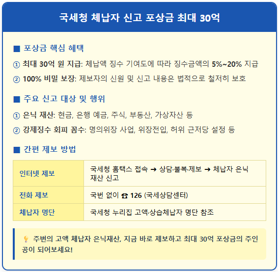 국세청 체납자 신고 포상금 최대 30억 1