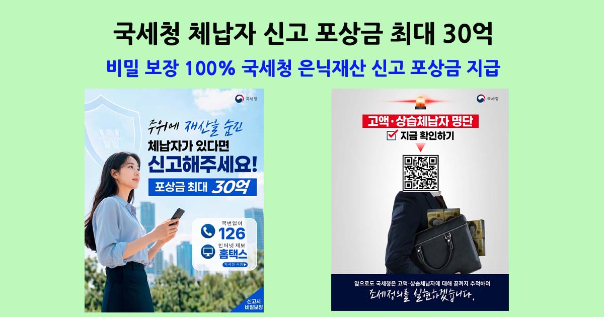 국세청 은닉재산 신고 포상금